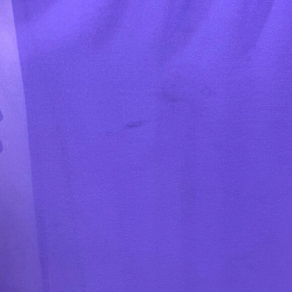 Bill Levkoff Purple Sleeveless Ruched Chiffon Gown With Sheer Neckline & V-Back - Picture 9 of 9